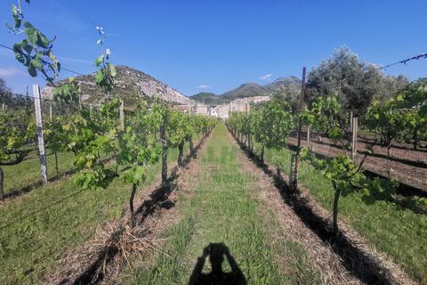 Helårsgrund i Capua, Caserta, Capua - € 39.000 | Ref: 39TERRENO - foto 14