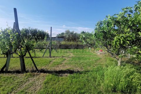 Helårsgrund i Capua, Caserta, Capua - € 39.000 | Ref: 39TERRENO - foto 18