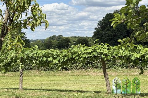 Villa a Vijon, Indre, Vijon - € 232.000 | Ref: 1290CS-ATTEGIA - foto 45