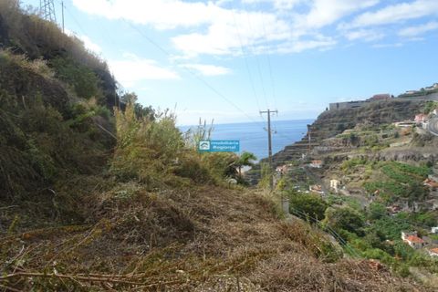 Helårsgrund i Calheta, Madeira, Calheta - € 95.000 | Ref: 1704 - foto 8