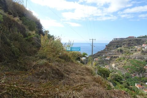 Helårsgrund i Calheta, Madeira, Calheta - € 95.000 | Ref: 1704 - foto 9