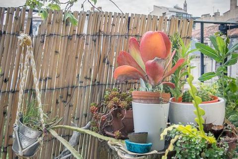 Leilighet i Marseille, Bouches-du-Rhone, Marseille - € 230 000 | Ref: 7HS3-0FW-8HH - foto 9