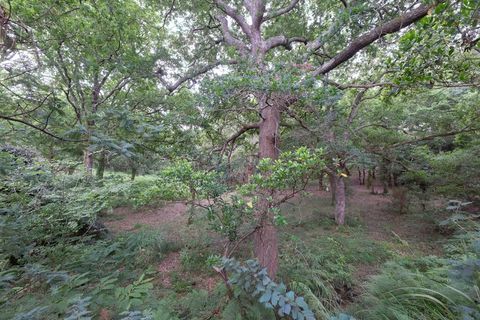 Villa en Seignosse, Landes, Seignosse - € 650.000 | Ref: 340939256297 - photo 23