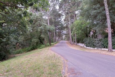 Villa en Seignosse, Landes, Seignosse - € 650.000 | Ref: 340939256297 - photo 24
