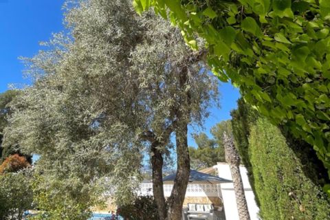 Villa i Moraira, Alicante, Moraira - € 850.000 | Ref: SLV32-7145B - foto 23