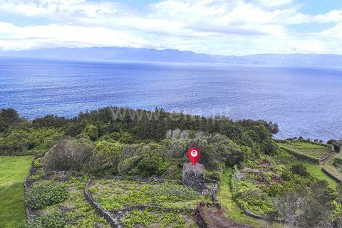 Helårsgrund i Lajes do Pico, Pico, Lajes do Pico - € 76.000 | Ref: 374260120 - foto 3