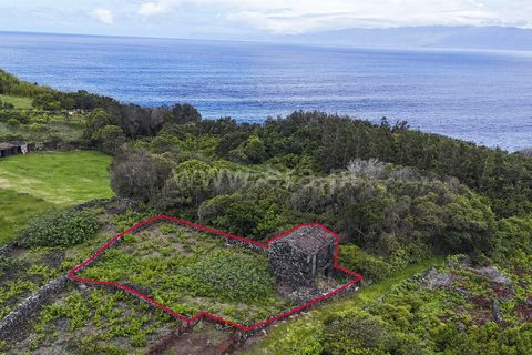 Helårsgrund i Lajes do Pico, Pico, Lajes do Pico - € 76.000 | Ref: 374260120 - foto 5