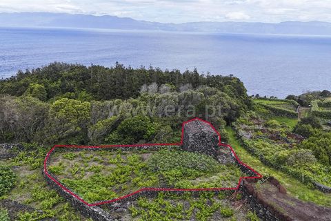 Helårsgrund i Lajes do Pico, Pico, Lajes do Pico - € 76.000 | Ref: 374260120 - foto 6