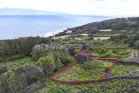 Helårsgrund i Lajes do Pico, Pico, Lajes do Pico - € 76.000 | Ref: 374260120 - foto 7