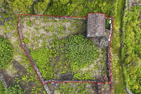 Helårsgrund i Lajes do Pico, Pico, Lajes do Pico - € 76.000 | Ref: 374260120 - foto 8