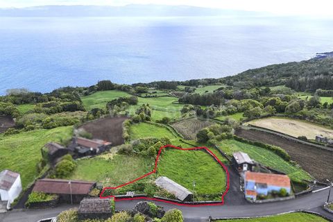 Helårsgrund i Lajes do Pico, Pico, Lajes do Pico - € 87.000 | Ref: 374260122 - foto 5