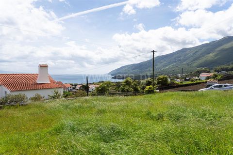 Helårsgrund i Sao Roque do Pico, Pico, Sao Roque do Pico - € 37.000 | Ref: 374260123 - foto 9