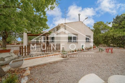 Landejendom i Murcia, Murcia, Murcia - € 229.900 | Ref: DH259-D - foto 6