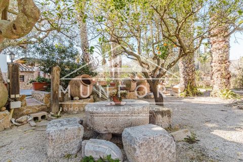 Villa i Orihuela, Alicante, Orihuela - € 1.645.000 | Ref: DH286-D - foto 15