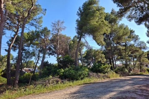 Helårsgrund i Denia, Alicante, Denia - € 275.000 | Ref: N7945 - foto 11