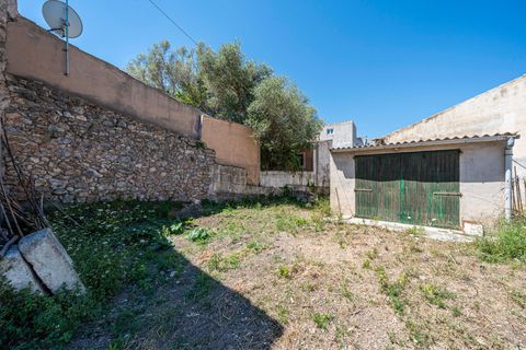 Helårsgrund i Son Servera, Mallorca, Son Servera - € 449.900 | Ref: 15RKIC010/3010 - foto 18