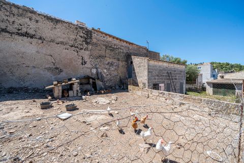Helårsgrund i Son Servera, Mallorca, Son Servera - € 449.900 | Ref: 15RKIC010/3010 - foto 25
