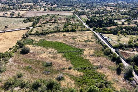 Helårsgrund i Son Servera, Mallorca, Son Servera - € 299.900 | Ref: 15RKIC019/3010 - foto 5