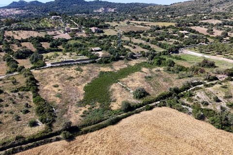 Helårsgrund i Son Servera, Mallorca, Son Servera - € 299.900 | Ref: 15RKIC019/3010 - foto 9