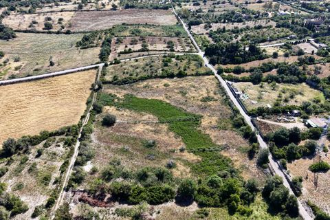 Helårsgrund i Son Servera, Mallorca, Son Servera - € 299.900 | Ref: 15RKIC019/3010 - foto 16