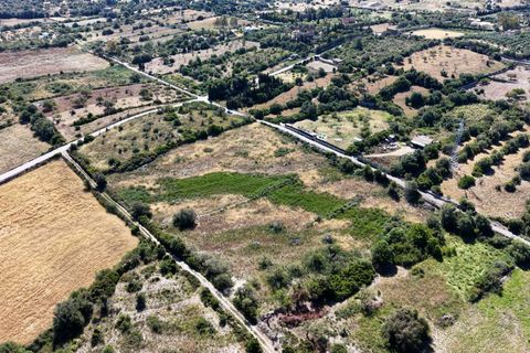 Helårsgrund i Son Servera, Mallorca, Son Servera - € 299.900 | Ref: 15RKIC019/3010 - foto 17