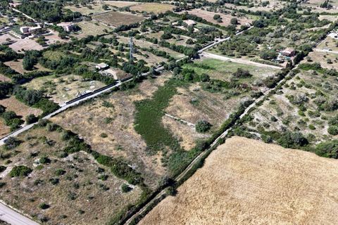 Helårsgrund i Son Servera, Mallorca, Son Servera - € 299.900 | Ref: 15RKIC019/3010 - foto 19