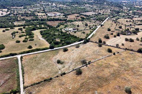 Helårsgrund i Son Servera, Mallorca, Son Servera - € 299.900 | Ref: 15ICRK007/3010 - foto 7