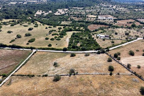 Helårsgrund i Son Servera, Mallorca, Son Servera - € 299.900 | Ref: 15ICRK007/3010 - foto 8