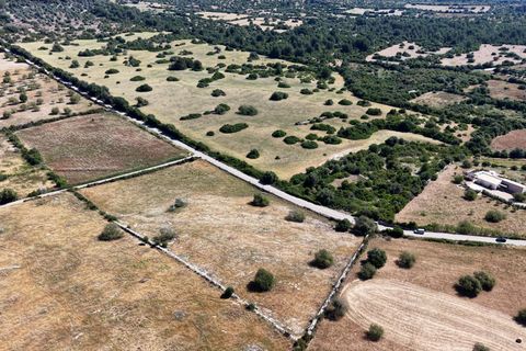 Helårsgrund i Son Servera, Mallorca, Son Servera - € 299.900 | Ref: 15ICRK007/3010 - foto 9