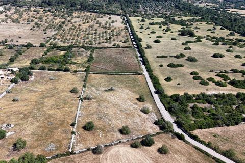 Helårsgrund i Son Servera, Mallorca, Son Servera - € 299.900 | Ref: 15ICRK007/3010 - foto 10