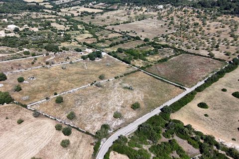 Helårsgrund i Son Servera, Mallorca, Son Servera - € 299.900 | Ref: 15ICRK007/3010 - foto 11