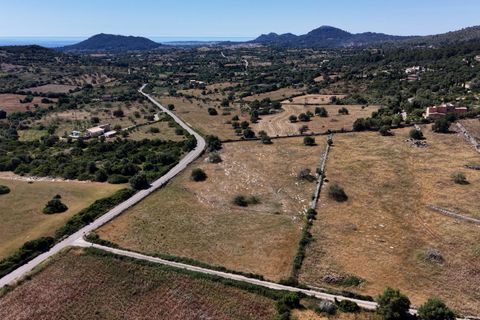 Helårsgrund i Son Servera, Mallorca, Son Servera - € 299.900 | Ref: 15ICRK007/3010 - foto 12