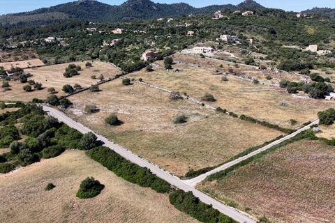 Helårsgrund i Son Servera, Mallorca, Son Servera - € 299.900 | Ref: 15ICRK007/3010 - foto 14