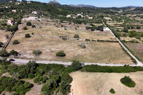 Helårsgrund i Son Servera, Mallorca, Son Servera - € 299.900 | Ref: 15ICRK007/3010 - foto 15