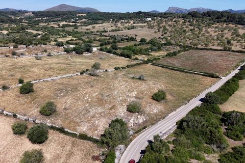 Helårsgrund i Son Servera, Mallorca, Son Servera - € 299.900 | Ref: 15ICRK007/3010 - foto 16