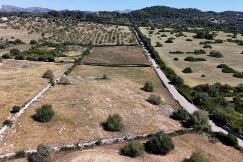 Helårsgrund i Son Servera, Mallorca, Son Servera - € 299.900 | Ref: 15ICRK007/3010 - foto 17