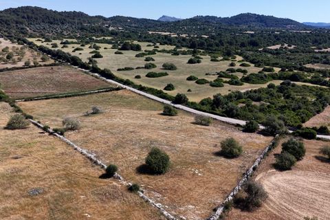 Helårsgrund i Son Servera, Mallorca, Son Servera - € 299.900 | Ref: 15ICRK007/3010 - foto 18