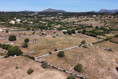 Helårsgrund i Son Servera, Mallorca, Son Servera - € 349.900 | Ref: 15ICRK008/3010 - foto 5