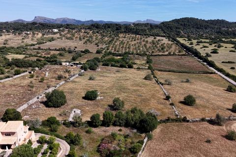 Helårsgrund i Son Servera, Mallorca, Son Servera - € 349.900 | Ref: 15ICRK008/3010 - foto 6