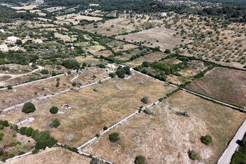 Helårsgrund i Son Servera, Mallorca, Son Servera - € 349.900 | Ref: 15ICRK008/3010 - foto 14