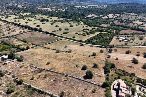 Helårsgrund i Son Servera, Mallorca, Son Servera - € 349.900 | Ref: 15ICRK008/3010 - foto 17
