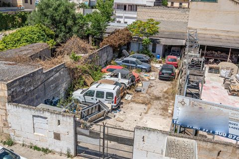 Helårsgrund i Inca, Mallorca, Inca - € 159.990 | Ref: 04DLAV010/3010 - foto 11