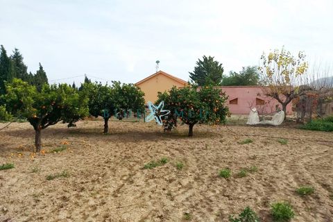 Landejendom i Lorca, Murcia, Lorca - € 385.000 | Ref: LORCAFINCA1/10254 - foto 2