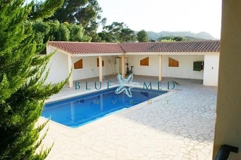 Landejendom i Lorca, Murcia, Lorca - € 385.000 | Ref: LORCAFINCA1/10254 - foto 5