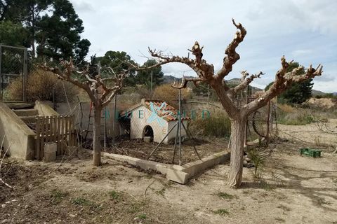 Landejendom i Lorca, Murcia, Lorca - € 385.000 | Ref: LORCAFINCA1/10254 - foto 11