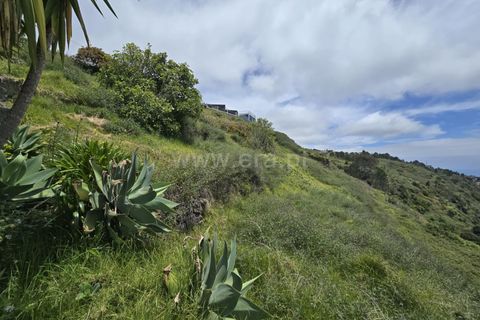 Helårsgrund i Calheta, Madeira, Calheta - € 320.000 | Ref: 081260110 - foto 6