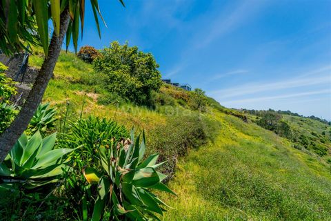 Tomt i Calheta, Madeira, Calheta - € 320 000 | Ref: 081260110 - foto 5