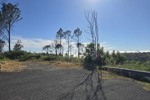 Helårsgrund i Calheta, Madeira, Calheta - € 180.000 | Ref: 081260111 - foto 1