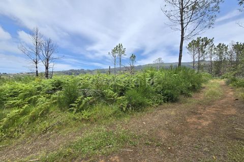 Helårsgrund i Calheta, Madeira, Calheta - € 180.000 | Ref: 081260111 - foto 2