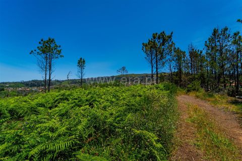 Tomt i Calheta, Madeira, Calheta - € 180 000 | Ref: 081260111 - foto 4